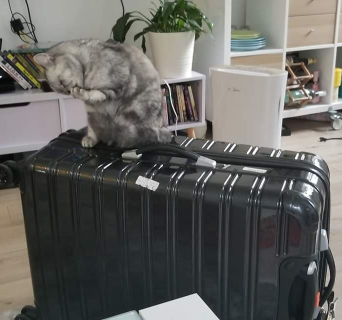 Are You Here With&nbsp;Family?